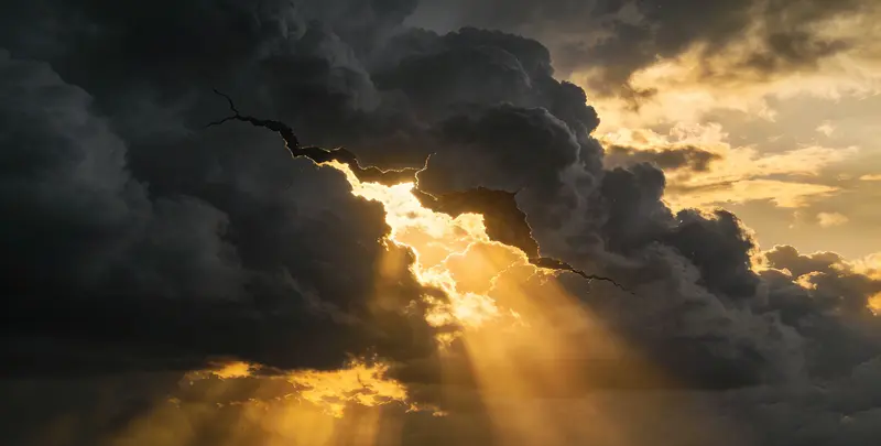 河源肺癌49基因检测图片1