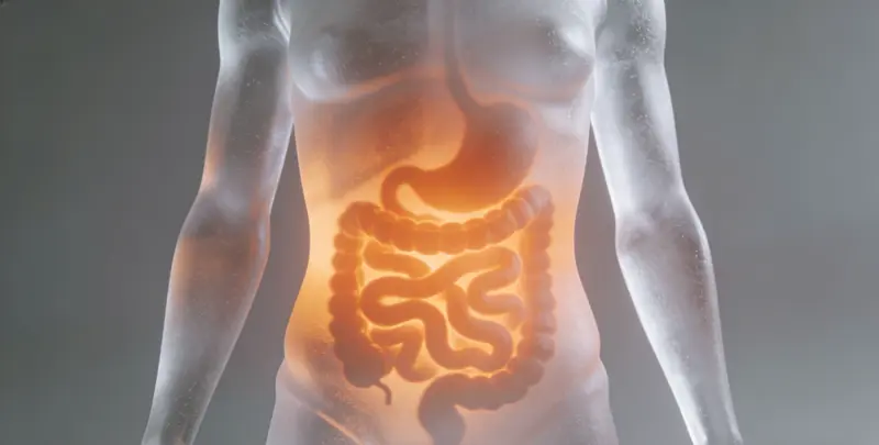 河源胃癌靶向用药39基因检测（组织）图片1